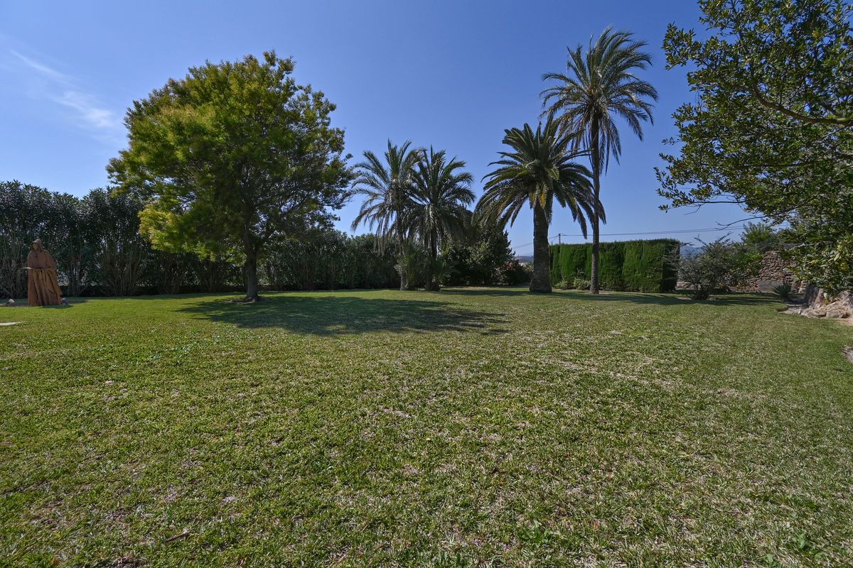 Amplio jardín de césped cuidado con palmeras maduras, árboles frondosos y setos perimetrales que garantizan privacidad en un entorno despejado.