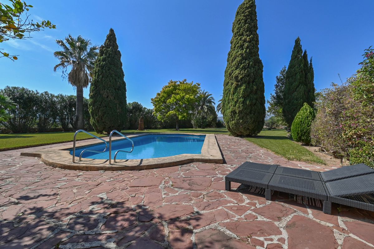 Piscina exterior con pavimento de piedra irregular, rodeada de cipreses maduros y una zona de césped con tumbonas de diseño.