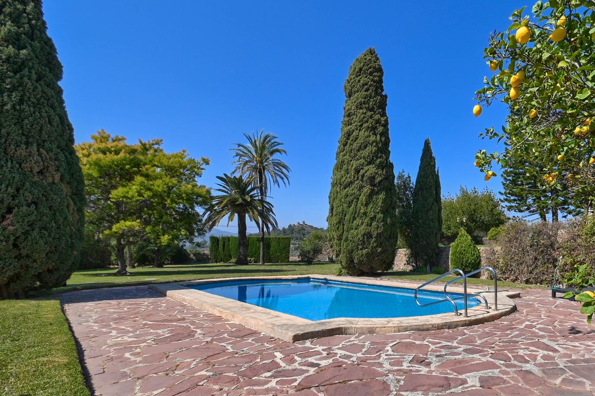Piscina exterior con terraza de piedra irregular, rodeada de un jardín maduro con cipreses, palmeras y un limonero cargado de frutos.