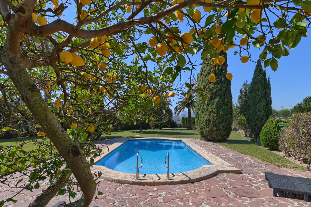 Piscina privada rodeada de una terraza de piedra natural y césped, enmarcada por un limonero en fruto y cipreses mediterráneos maduros.