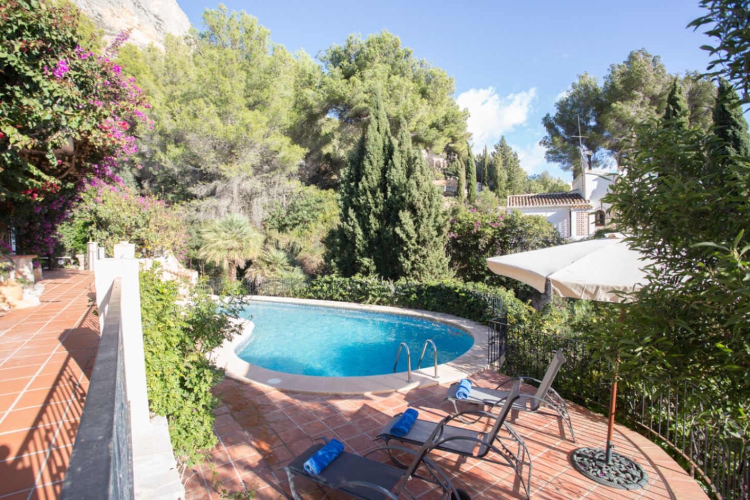 Piscina de forma irregular sobre terraza de terracota con tumbonas, rodeada de pinos maduros y vegetación mediterránea autóctona.