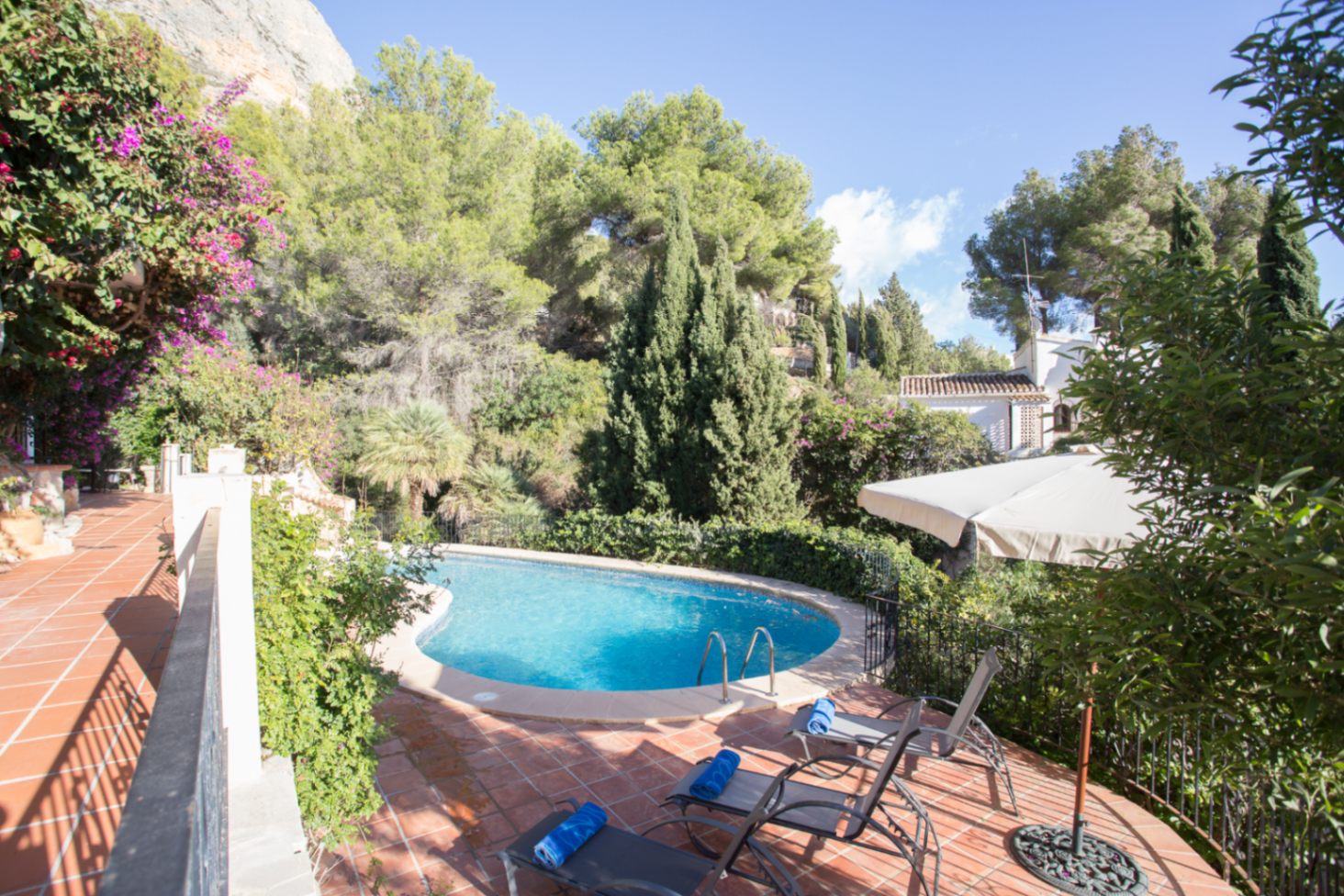 Piscina exterior de forma arriñonada rodeada por una terraza de baldosas de terracota, con tumbonas y una densa vegetación mediterránea de pinos y cipreses.