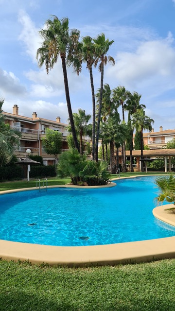 Amplia piscina comunitaria de forma irregular rodeada de césped y palmeras altas. Al fondo se observan edificios residenciales con terrazas y chimeneas bajo un cielo despejado.