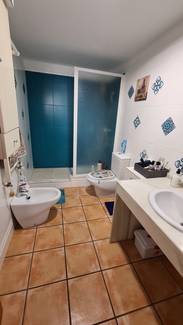 Baño con ducha de azulejos color cerceta, suelo de terracota y paredes decoradas con motivos azules. Dispone de bidé, inodoro y encimera con lavabo integrado.