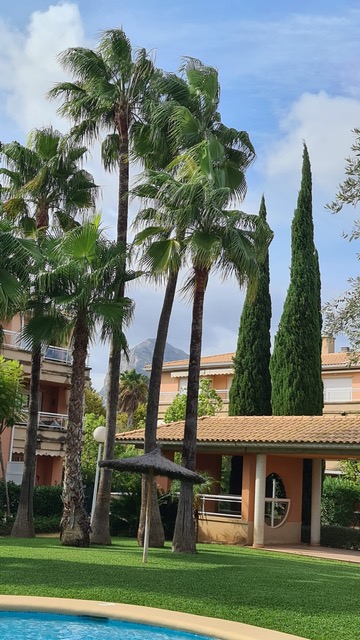 Jardín mediterráneo con palmeras altas, cipreses y sombrilla de brezo sobre césped cuidado, con vistas a la montaña tras el complejo residencial.