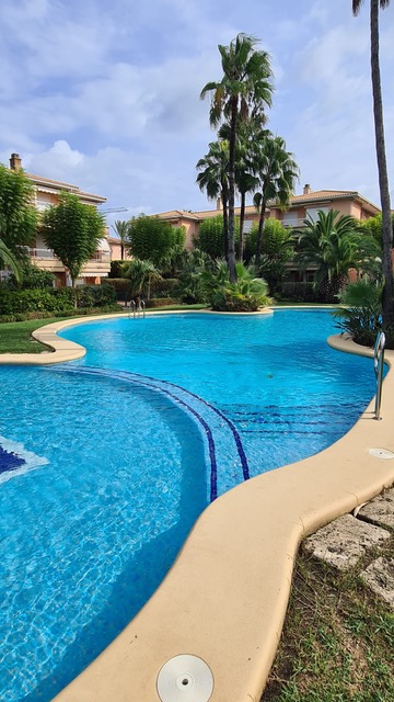 Piscina comunitaria de forma irregular con gresite azul y escaleras integradas, rodeada de jardines mediterráneos, palmeras y edificios residenciales.