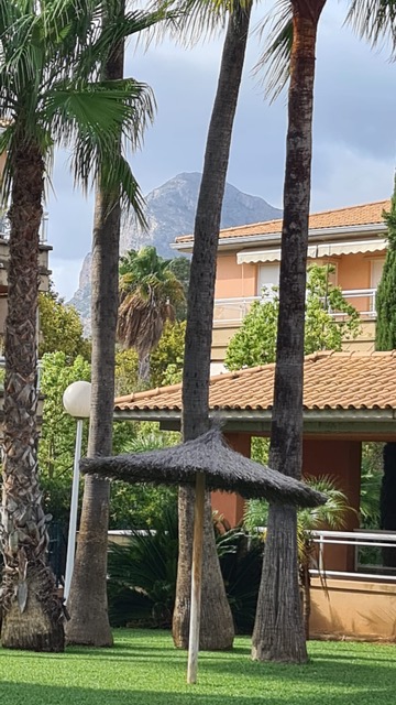 Vista de los jardines con palmeras altas, sombrilla de brezo y arquitectura mediterránea con una montaña de fondo.