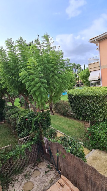 Vista desde la terraza hacia un jardín paisajístico con árboles de follaje plumoso, setos cuidados y un patio privado de grava con piedras de paso.