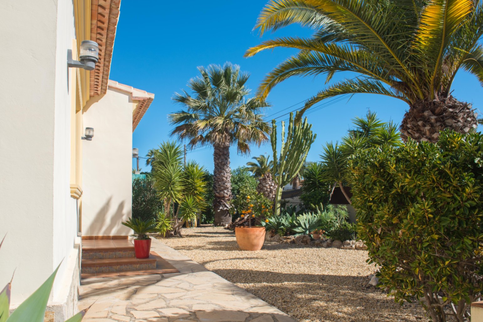 Jardín mediterráneo con suelo de grava, palmeras maduras y cactus, situado junto a un camino de piedra y la fachada de tonos crema de la vivienda.