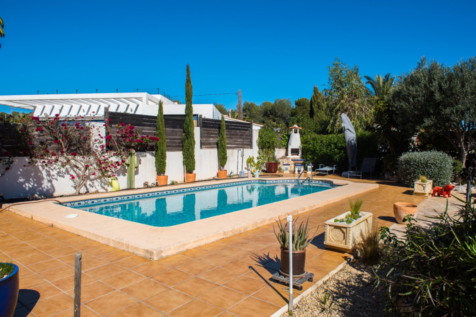 Piscina rectangular con borde de mosaico azul, rodeada de una terraza de gres, cipreses en macetas y una zona de barbacoa bajo un cielo despejado.