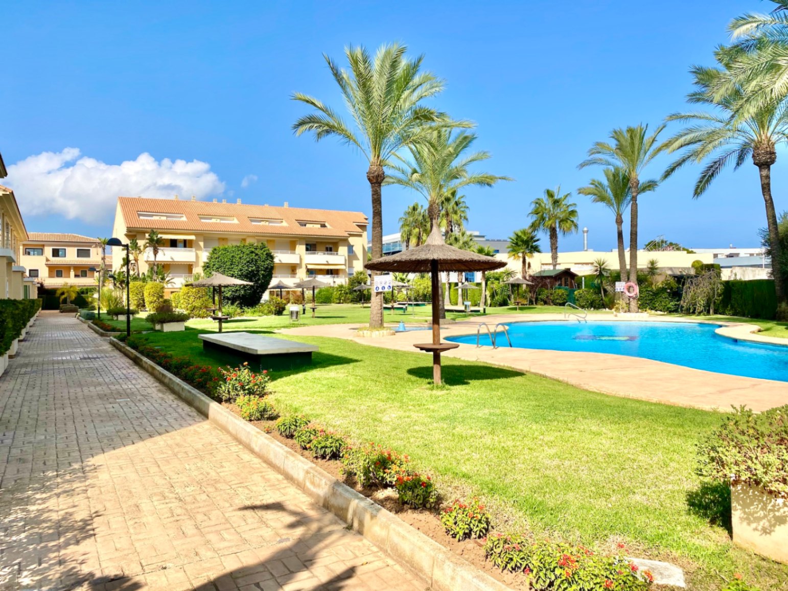 Zona comunitaria con piscina, palmeras y sombrillas de brezo. Un sendero pavimentado recorre el césped cuidado frente a bloques residenciales de varias plantas.