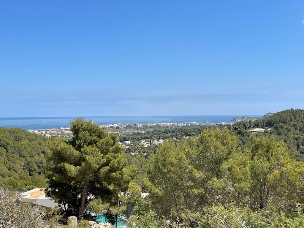 Vista panorámica elevada sobre un denso bosque de pinos hacia la costa mediterránea y el mar bajo un cielo despejado.