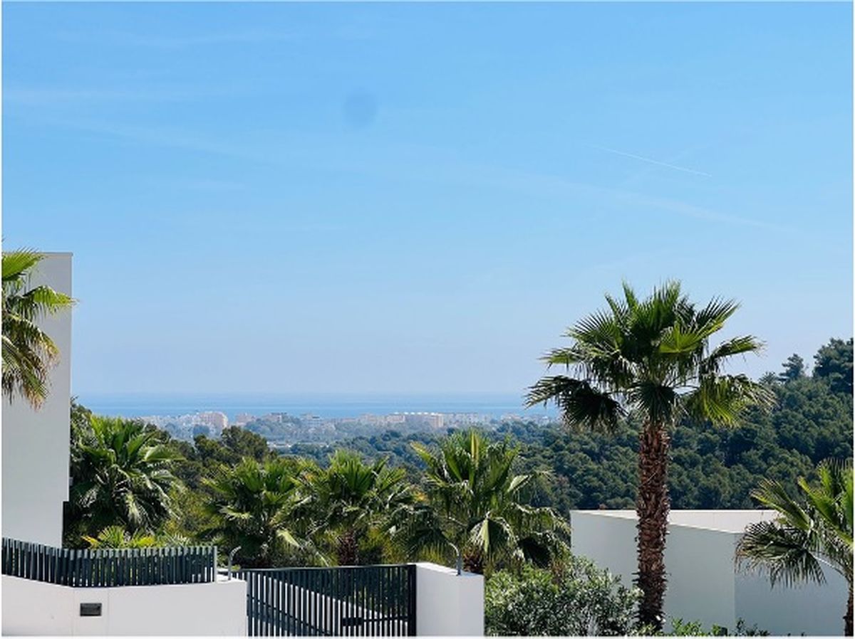 Vistas panorámicas desde la propiedad hacia un entorno de palmeras y pinos, con el horizonte costero y el mar Mediterráneo al fondo.