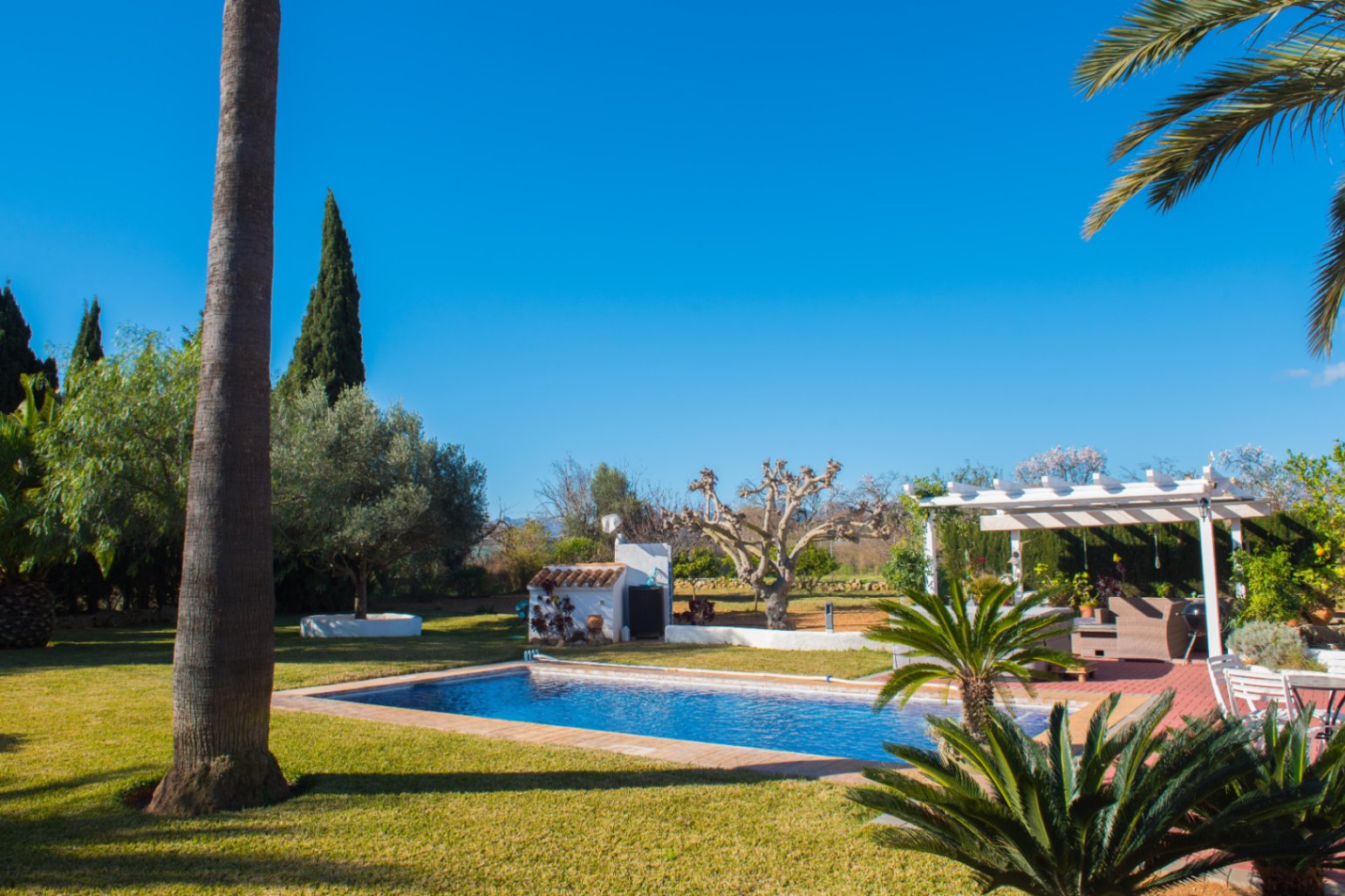 Piscina exterior rodeada de césped cuidado, con una pérgola blanca, palmeras y vegetación mediterránea bajo un cielo azul despejado.