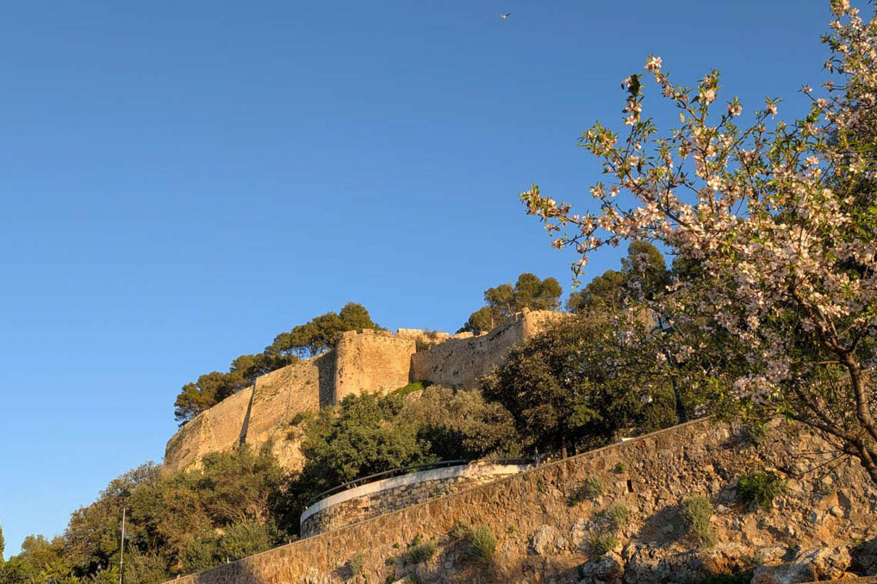 Vista de las murallas de piedra de la fortaleza histórica bajo un cielo despejado, enmarcada por almendros en flor y vegetación mediterránea.