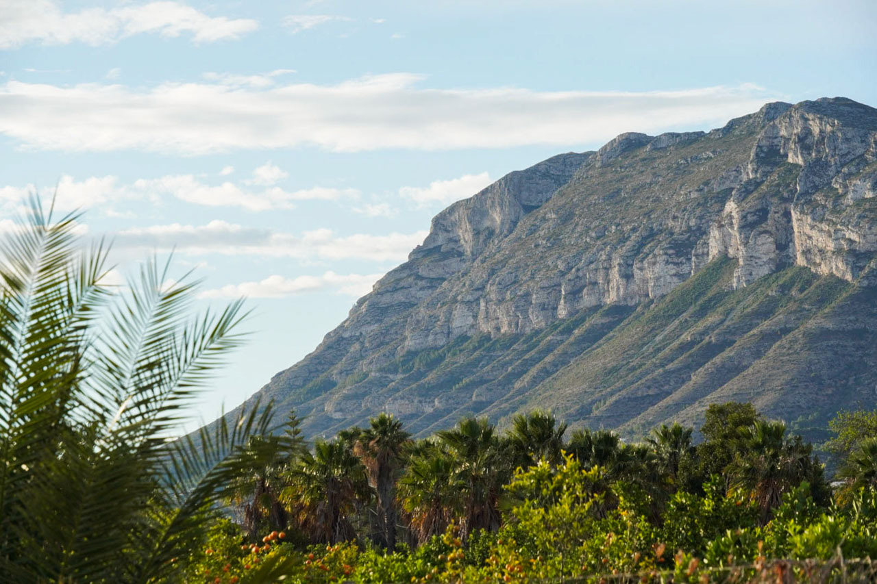 Vistas panorámicas del macizo del Montgó con sus paredes de piedra caliza, rodeado de palmeras y huertos de cítricos bajo un cielo despejado.