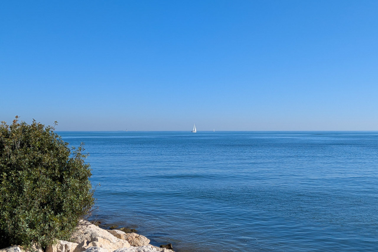 Vista panorámica del mar Mediterráneo desde la costa de Dénia, con veleros en el horizonte y un primer plano de vegetación autóctona sobre rocas blancas.