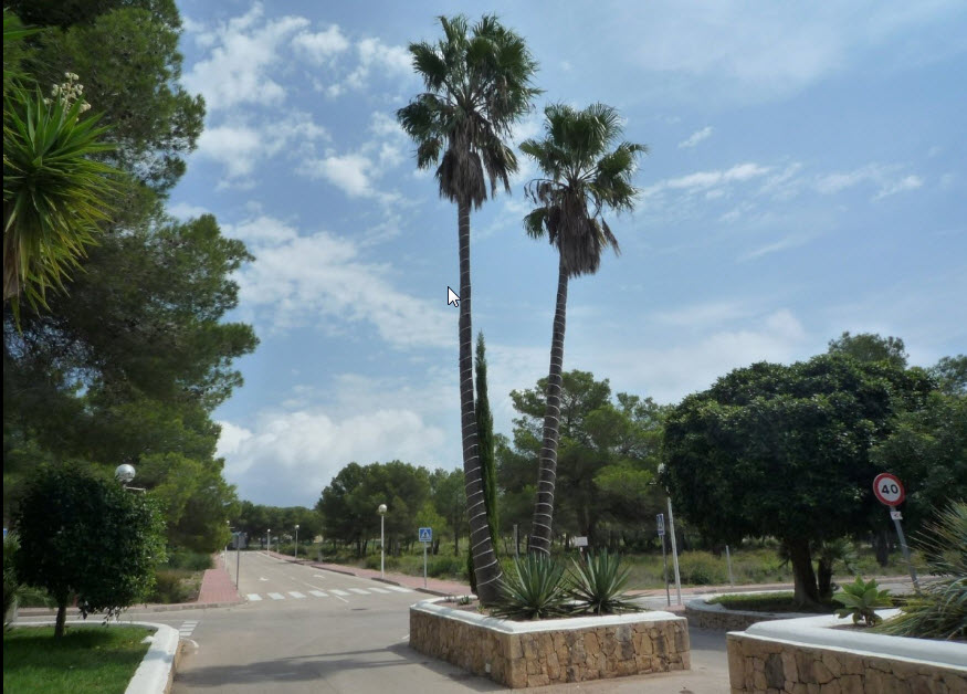 Terrenos llanos edificables con vistas al mar en Jávea