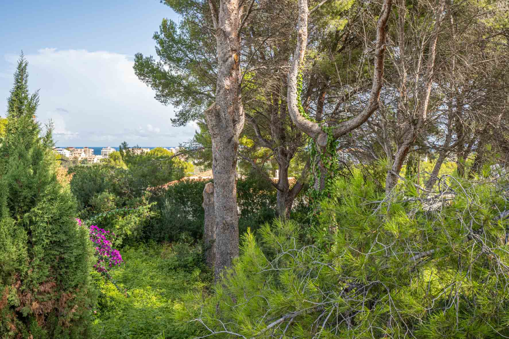 Terreno rural en Jávea, Adsubia con vistas al mar y al Montgó