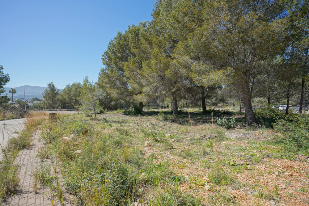 Terreno rural en Jávea, Montgó con vistas a la montaña