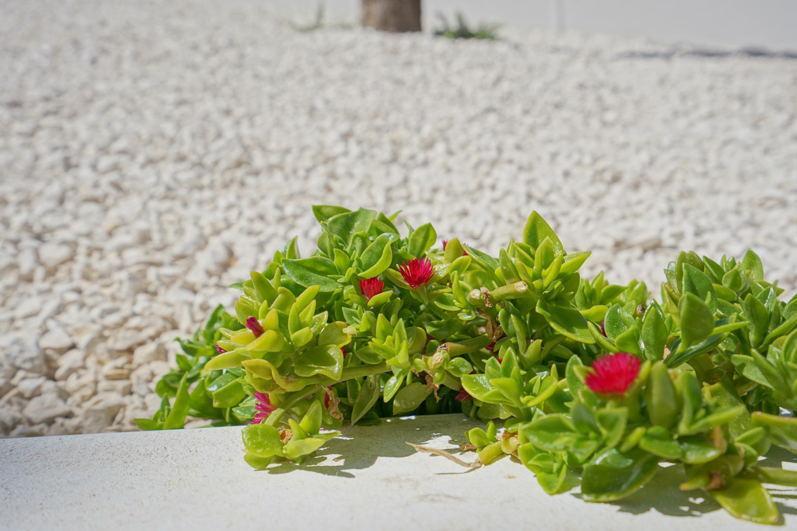 Villa moderna en Moraira, Benimeit con piscina privada