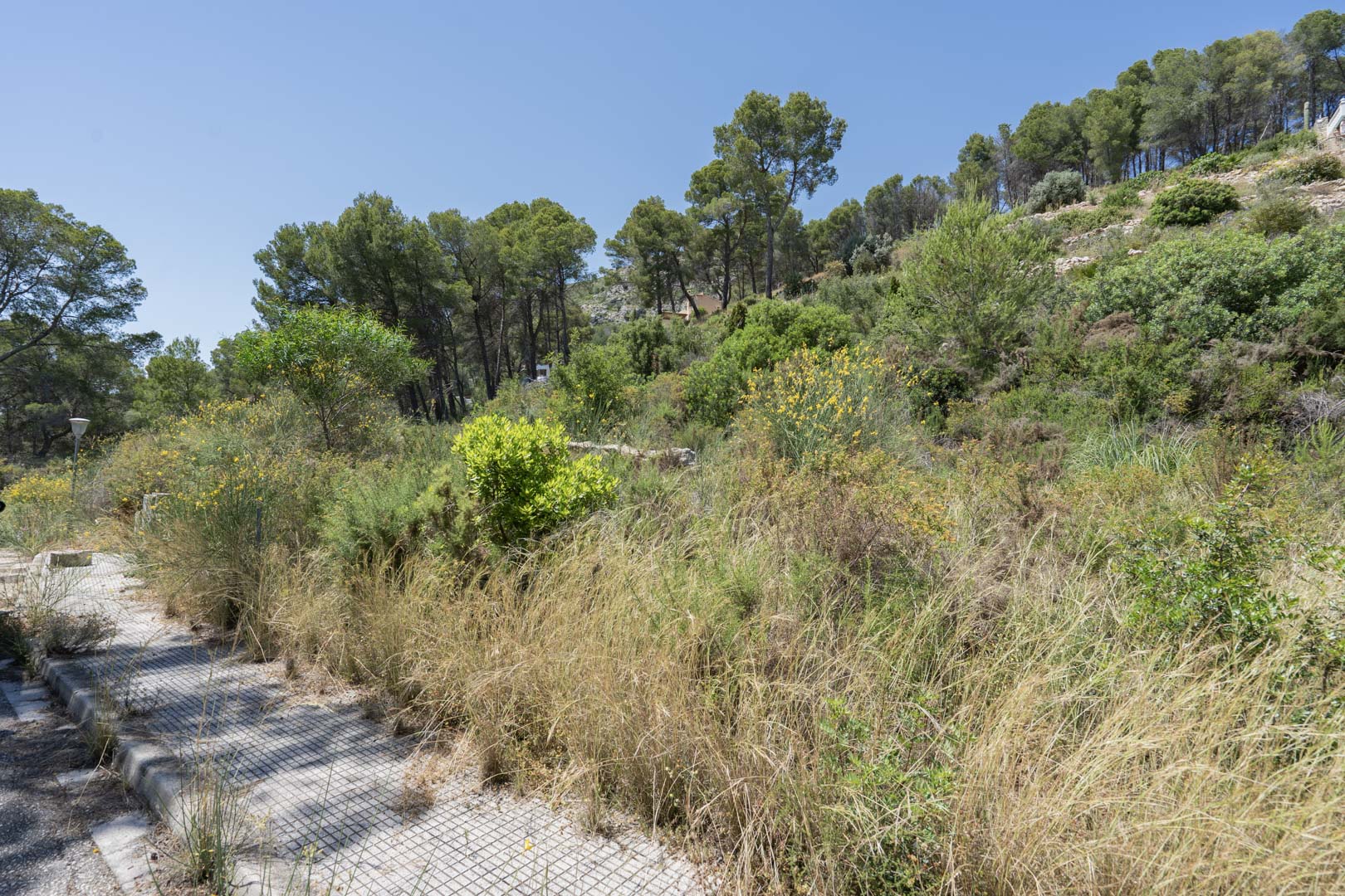 Villa moderna de bajo consumo en Alcalalí con vistas al valle
