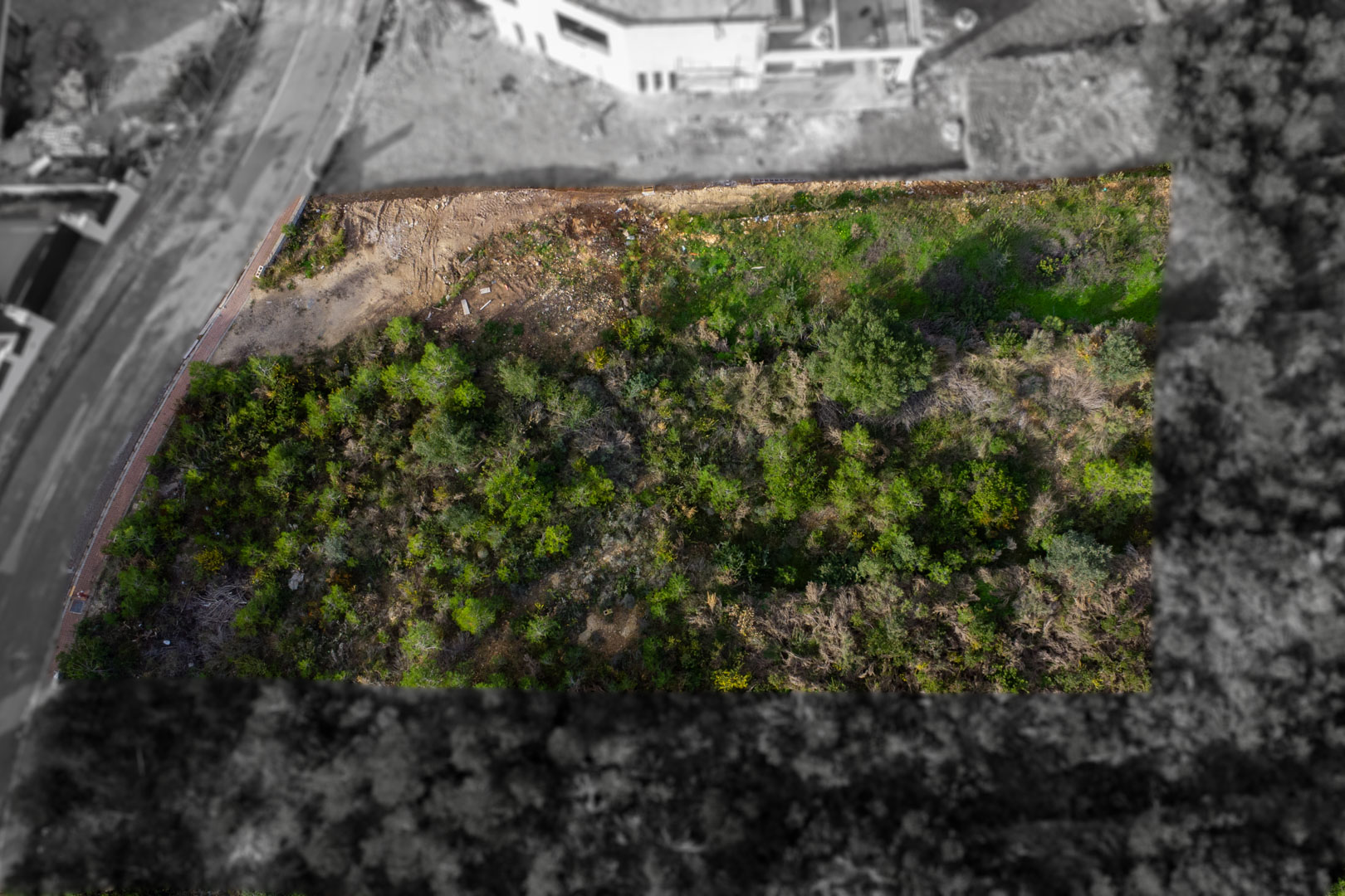 Parcela con vistas al mar en Monte Olímpico, Jávea